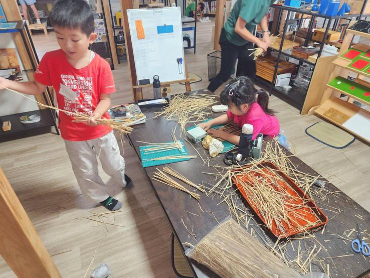 Summer School の様子